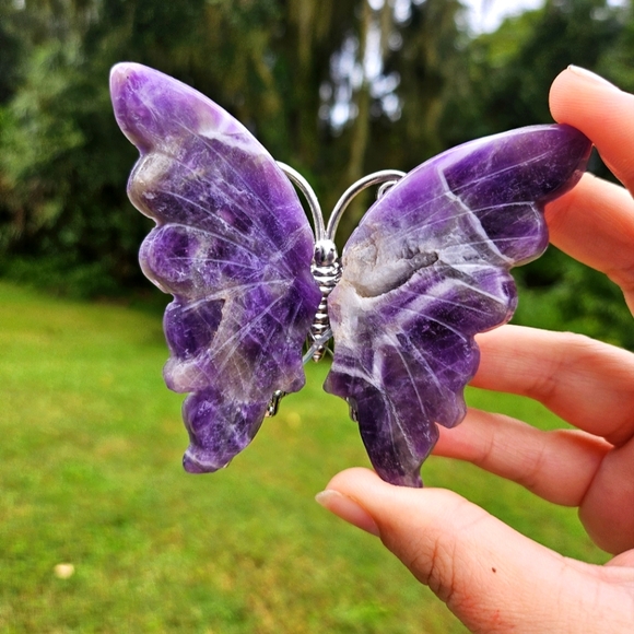 Fluorite butterfly listing - Picture 2 of 4
